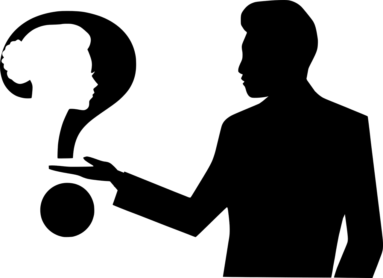 מייעץ מקצועי